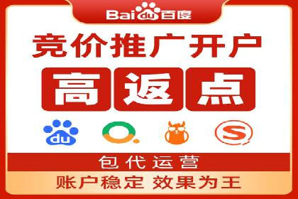 高效百度推广案例解析及优化策略